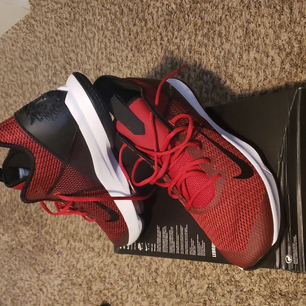 Nike Lebron Witness IV